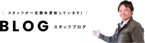 BLOG / ブログ ｜ スタッフが一生懸命更新しています！